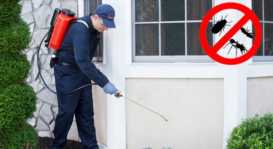Çobanlar Kemirgen İlaçlama böcek ilaçlama ve haşere kontrolü — ilaclama-tr.com